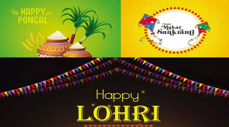 Makar Sankranti, Lohri, Pongal 2025: Dates, timings, significance, puja vidhi, and popular foods